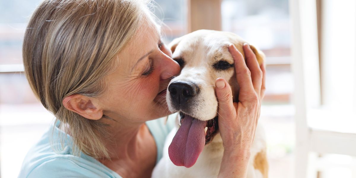 Prevenirea sindromului Cushing la câini
